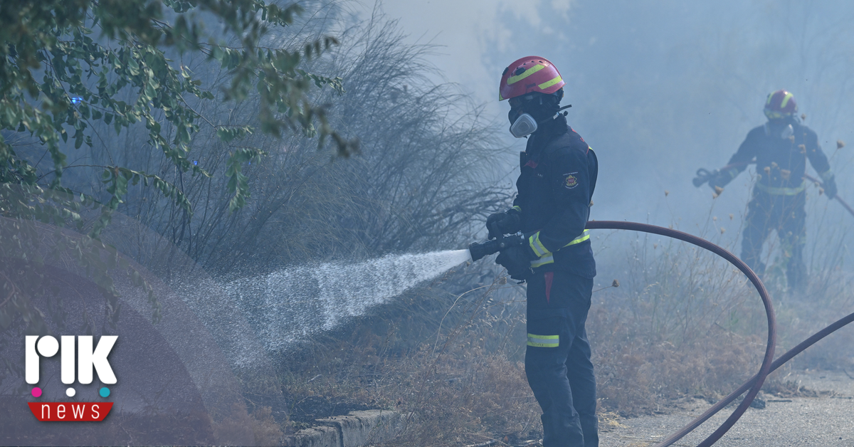 Συμβούλιο Εθελοντισμού: Προσοχή από παράνομους εράνους για τους πυρόπληκτους Συμβούλιο Εθελοντισμού: Προσοχή από παράνομους εράνους για τους πυρόπληκτους