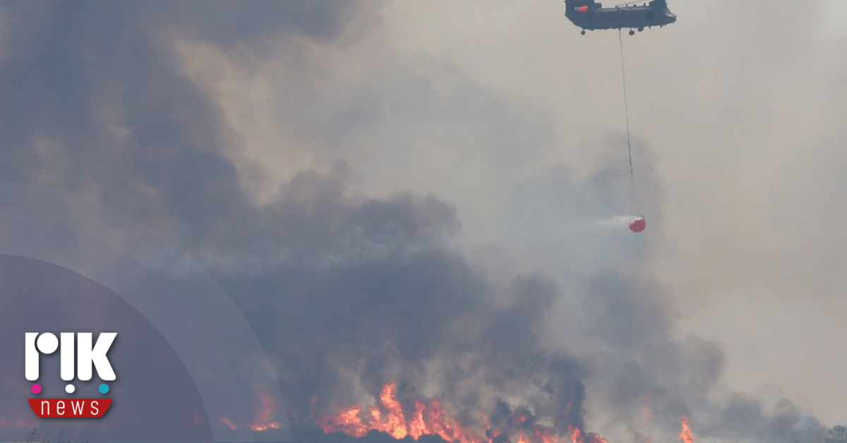 Επίτροπος Αγροτικών Πληρωμών: 4.353 τεμάχια έχουν καεί από τις πυρκαγιές στην ορεινή Λεμεσό