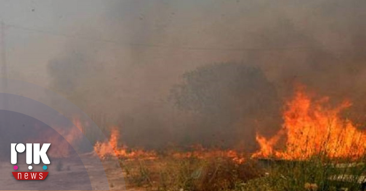 Γ. Αντωνίου: Στην Κύπρο αμερικανοί εμπειρογνώμονες για διερεύνηση και αξιολόγηση της διαχείρισης των πρόσφατων πυρκαγιών