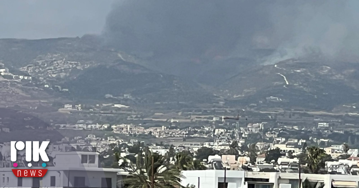 Πάφος: Φωτιά στην περιοχή Τσάδας και Κοίλης – Ενεργοποιήθηκαν τα σχέδια «Πυρσός» και «Ίκαρος 2» Πάφος: Φωτιά στην περιοχή Τσάδας και Κοίλης – Ενεργοποιήθηκαν τα σχέδια «Πυρσός» και «Ίκαρος 2»