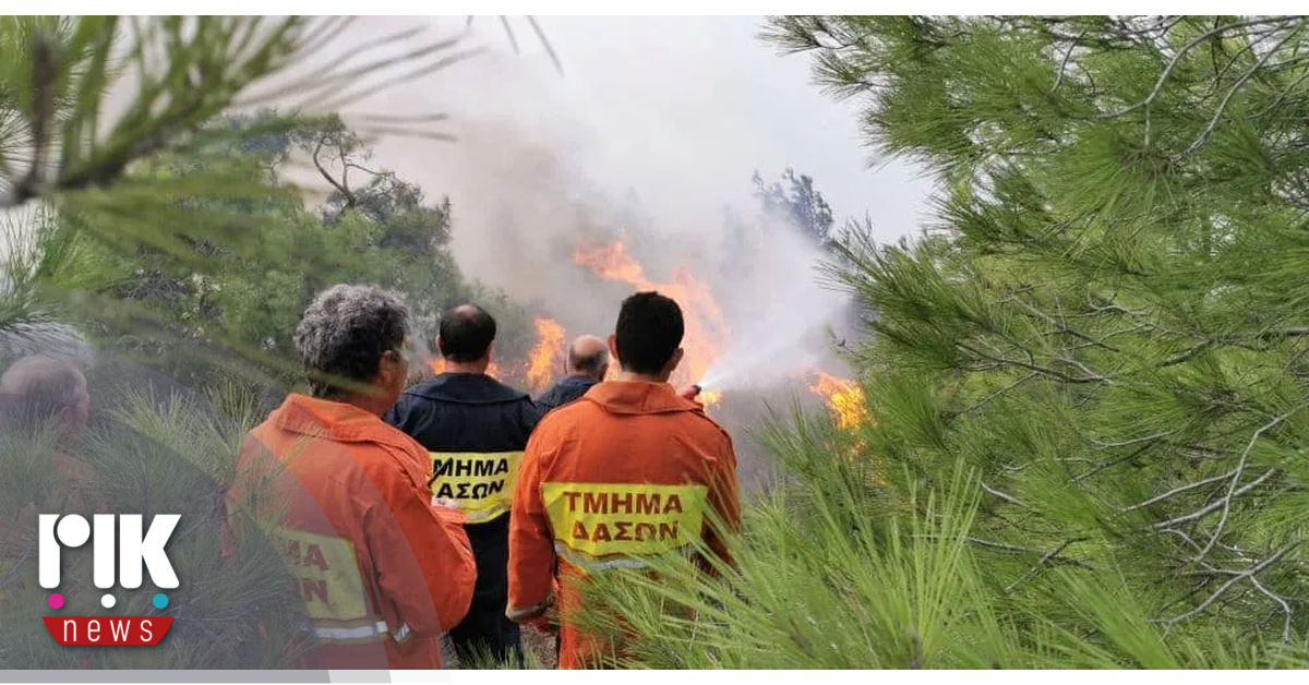 'Ετοιμο να αναλάβει τις πυρκαγιές υπαίθρου το Τμήμα Δασών