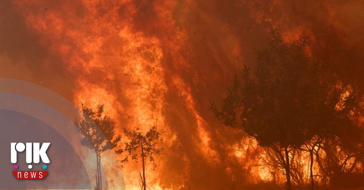 Πυρκαγιές έκαψαν φέτος πάνω από 10 εκατομμύρια στρέμματα στην ΕΕ Πυρκαγιές έκαψαν φέτος πάνω από 10 εκατομμύρια στρέμματα στην ΕΕ