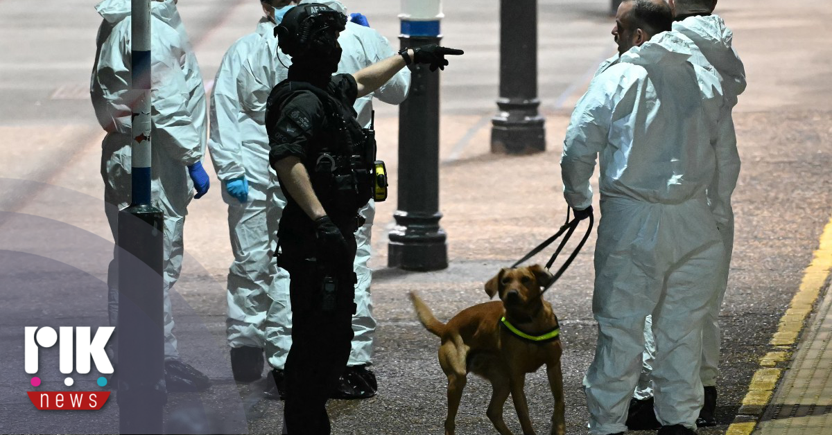 Δέκα κατηγορίες απόπειρας δολοφονίας αντιμετωπίζει ο 32χρονος στη Βρετανία