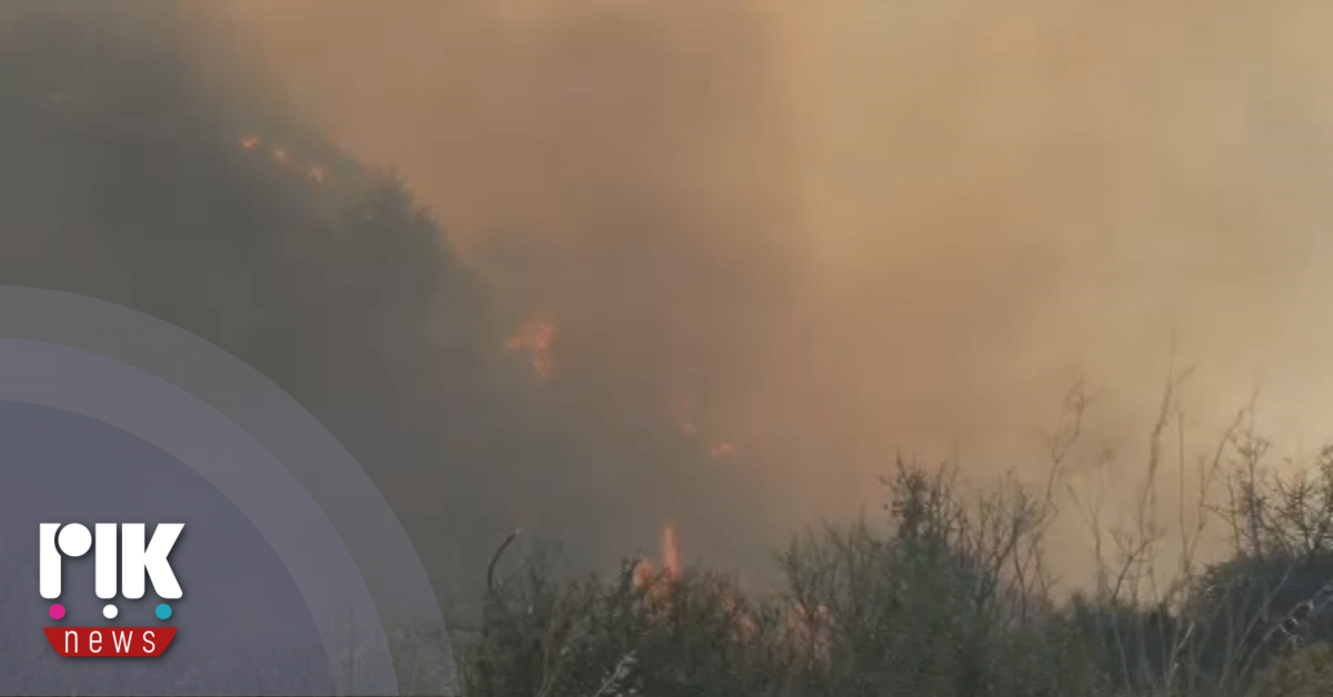 Τρεις πυρκαγιές μαίνονται σε δύσβατες περιοχές σε Λεμεσό και Πάφο