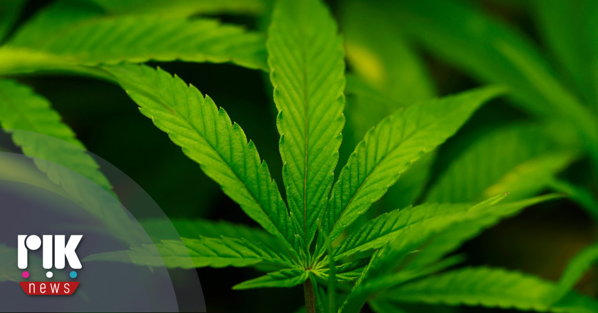 Η Κομισιόν σε αγώνα κατά των ναρκωτικών στην Ευρώπη