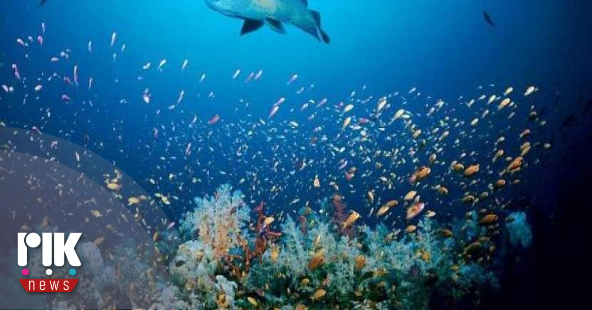 Σε επίπεδα ρεκόρ η θερμοκρασία των ωκεανών