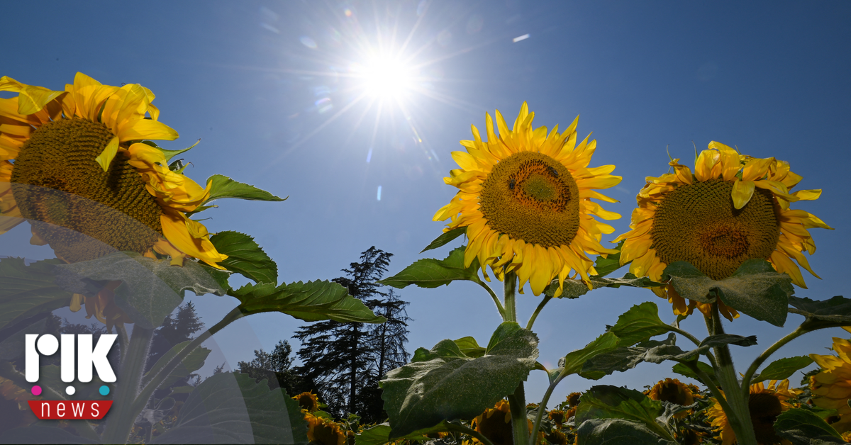 Τμήμα Μετεωρολογίας 1ο Δελτίο Καιρού 12/4/2026