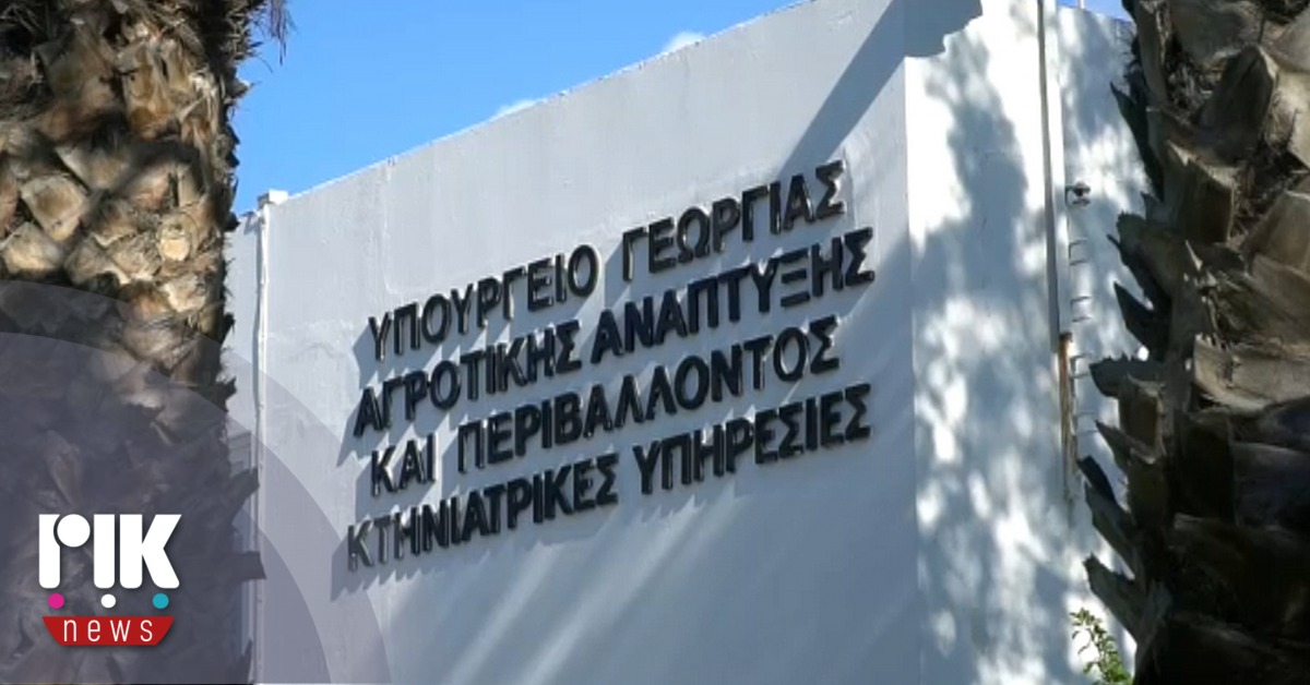 Κτηνιατρικές Υπηρεσίες: H καθολική θανάτωση των ζώων αποτελεί νομική υποχρέωση