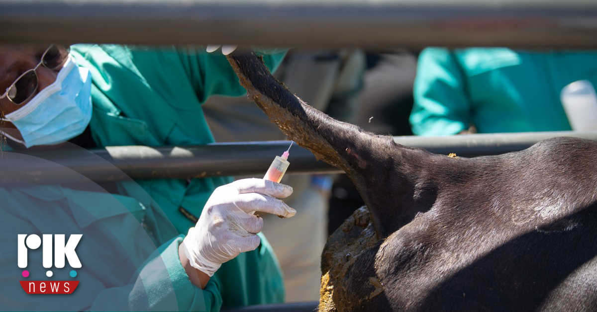 Σταύρος Μαλάς: Πολύ δύσκολη αλλά διαχειρίσιμη η κατάσταση με τον αφθώδη πυρετό