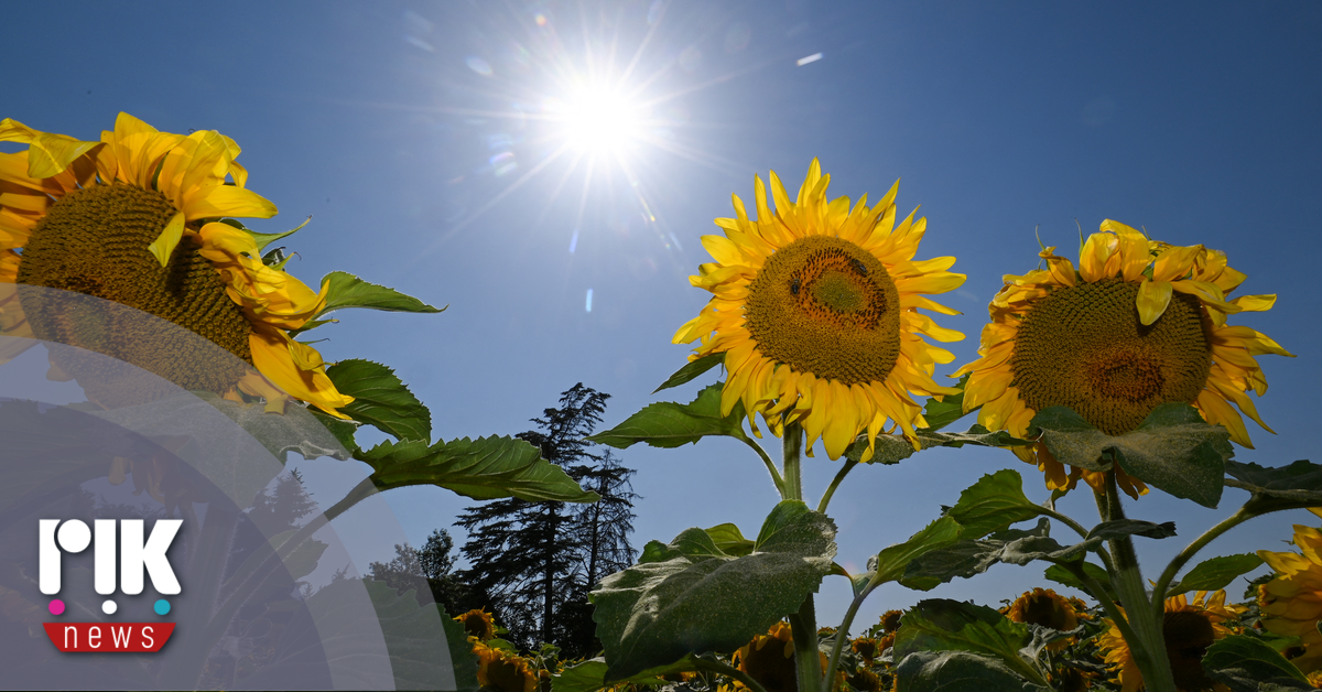 Tμήμα Μετεωρολογίας 1ο Δελτίο Καιρού 22/4/2026