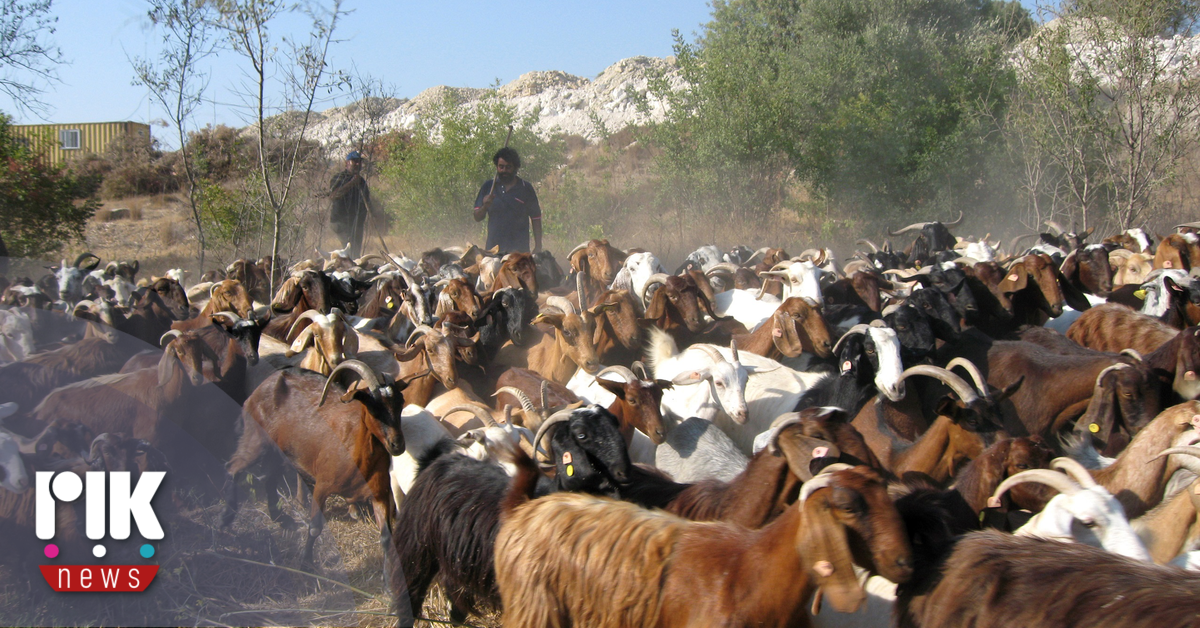 Δεν υπάρχουν ξεκάθαρες παράμετροι για τις αποζημιώσεις λέει 