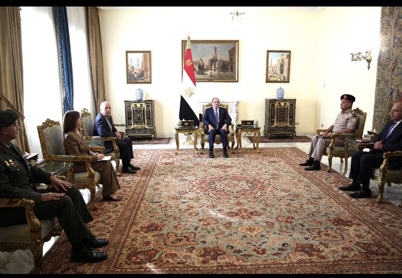 PALMAS SISI2.jpeg