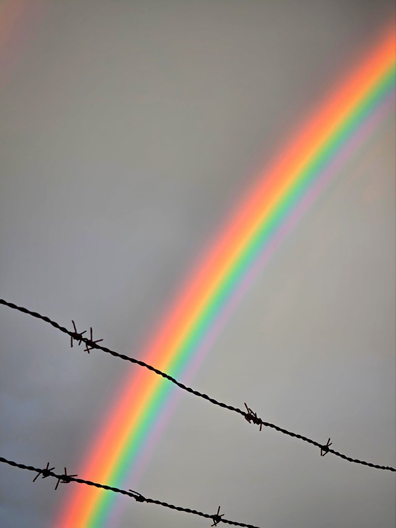 Polish_20260404_192855167.jpg