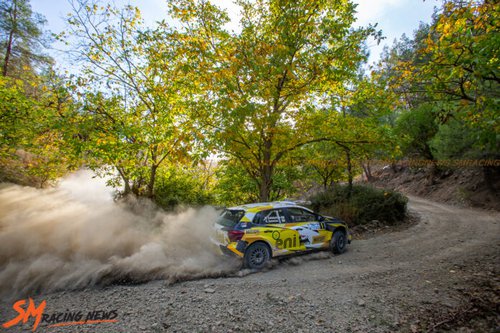 Tiger-Rally-2021-59-696x464.jpg