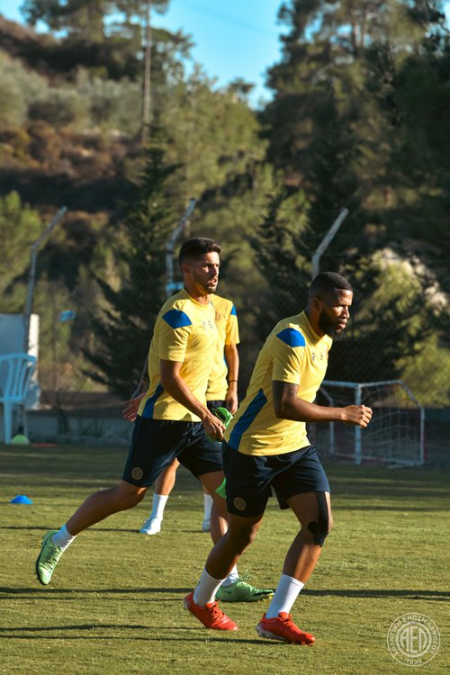 ael pelendri 2.jpg