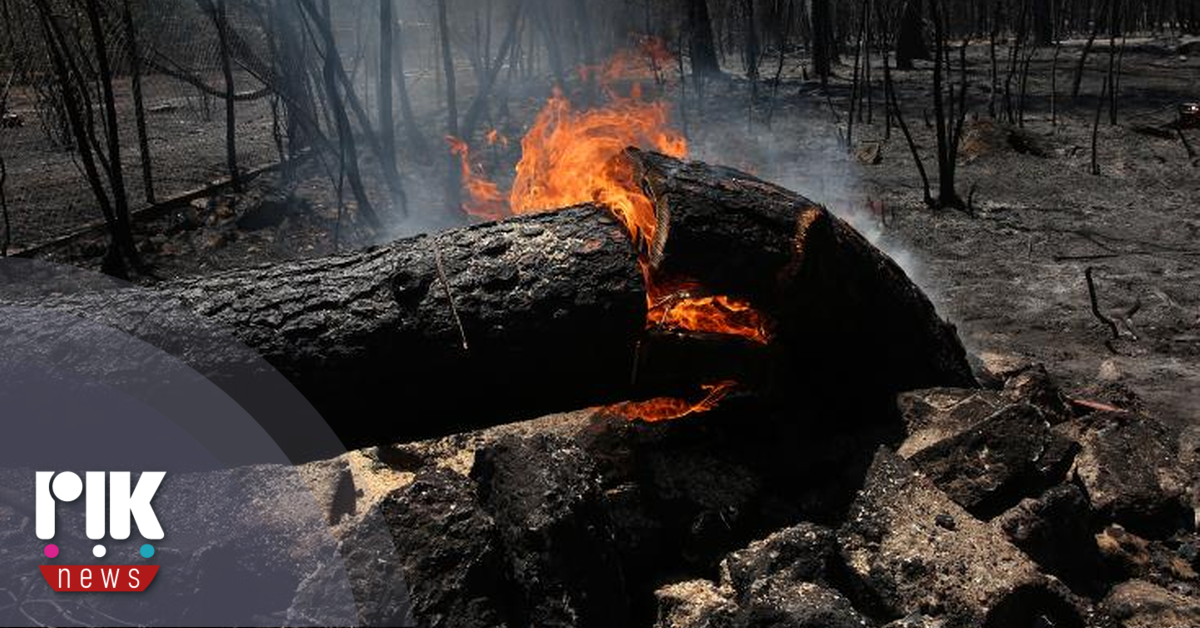 Αύξηση 26% των πυρκαγιών και 450% της καμένης έκτασης στην Ελλάδα, φέτος - Vimarsana News