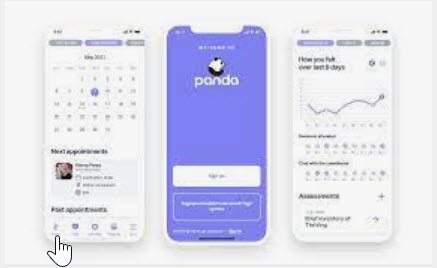 panda app.jpg