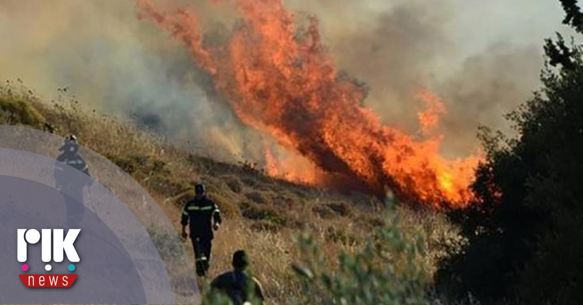 Ανακοίνωση του Γραφείου του Επιτρόπου Εθελοντισμού - Vimarsana News